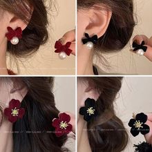 �o�������A�tɫ�����Y���A2025�¿����İ껨�z�q�и߼��ж��h