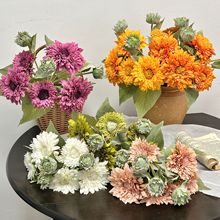 ̩տ滨ٻҾӿ͏dbˇ[յ