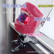 ���ƿ�ǻ�̌Wģ�����Xģ�;����̌W�ɲ�ж�������^ģ�����ޏ��N��