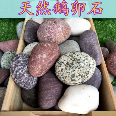 Pebble stone Paving Pebble gardening Bujingshi fish tank Stone Shi Pu 9