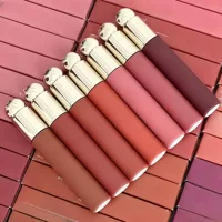 Редко в наличии и отправляется за считанные секунды. /Beauty Sa Lin.Na New Lip Glaze Formal 3 мл Шелковистая помада Soft Mist