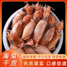 海兔干新鲜淡晒海兔个头饱满干货海产品墨鱼干乌贼干笔管鱼海鲜