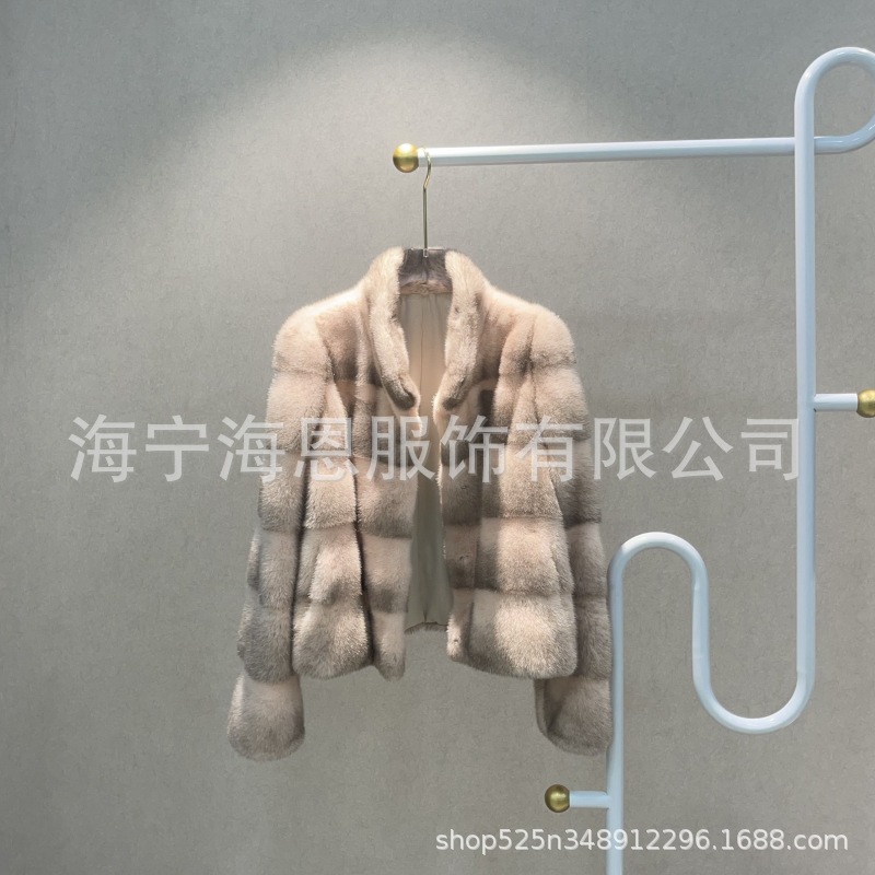 海宁2024爆款进口整貂天鹅绒立领短款时尚网红风女士水貂皮草批发