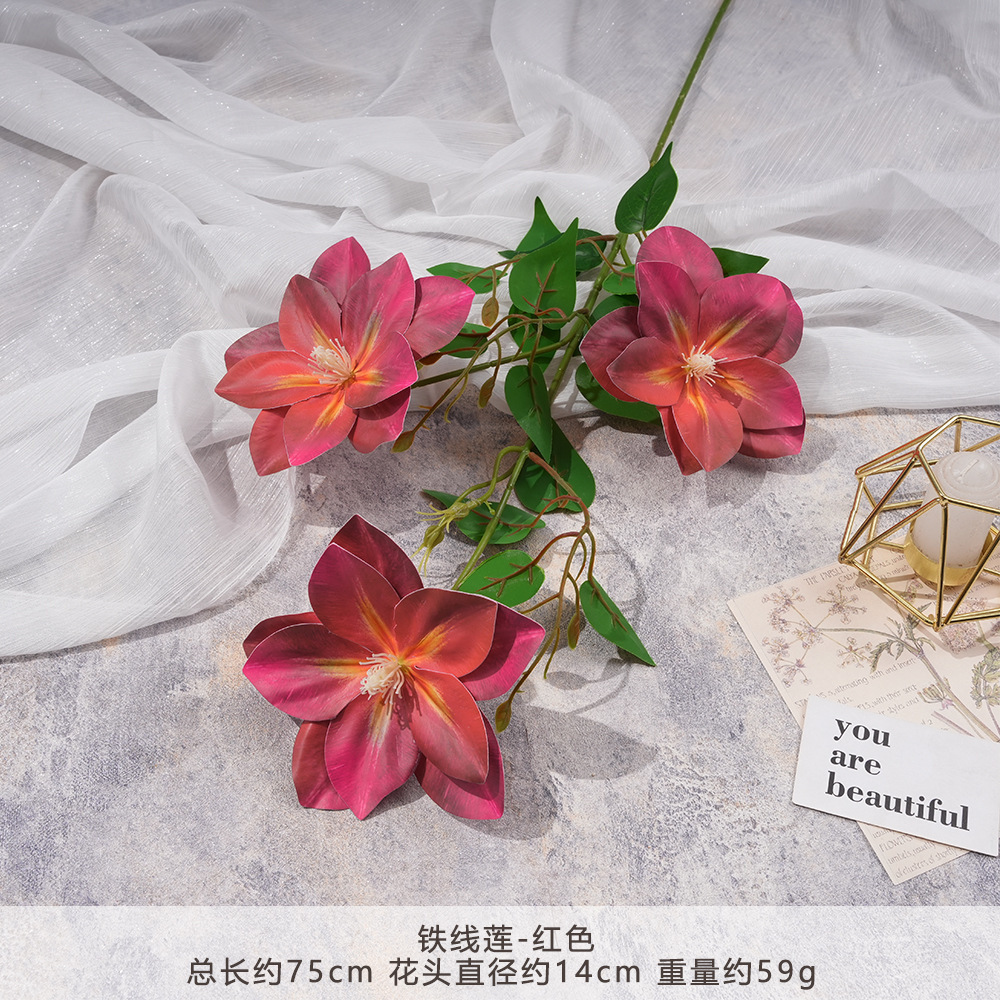 Xd- clematis - red