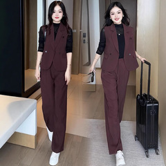 亚马逊时尚套装女士秋季新款洋气无袖西服马甲打底衫阔腿裤三件套