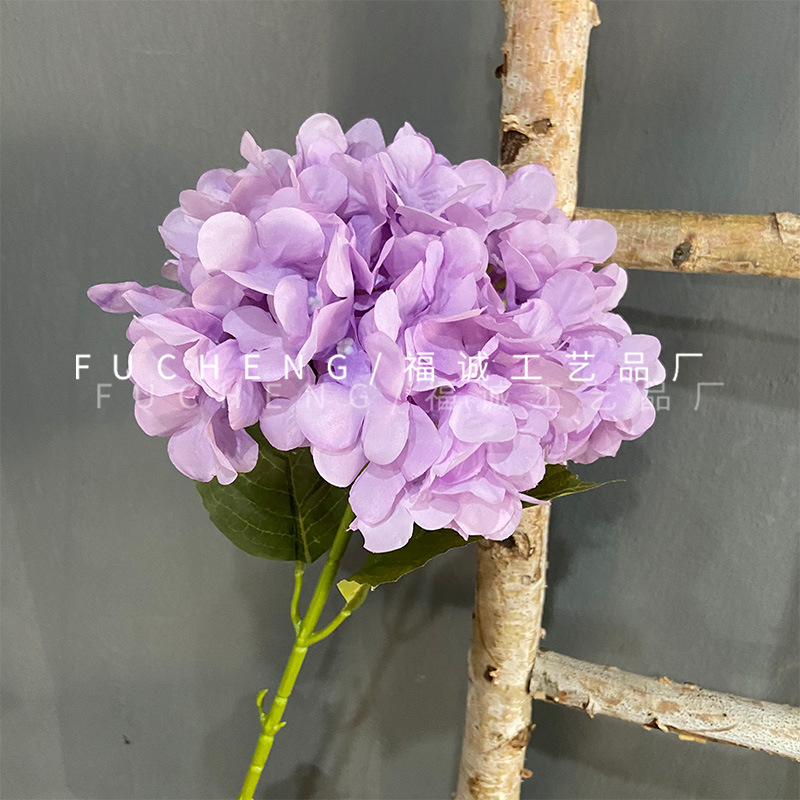 보라색