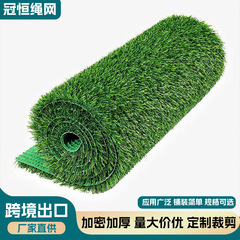 定制仿真草坪 户外游乐场工程围挡楼顶足球场跑道塑料 假草坪地毯