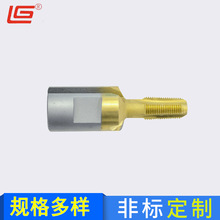 ����NPT�A�F���ݼy�z�F ���P䓌��ù��ƽz�F �a��A�����ݼy�z�F