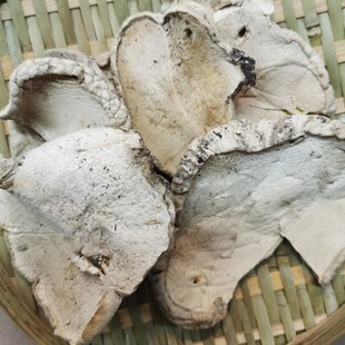 �R���Ĵ��a��؛Դ  �R��� ��ș�����l Ҏ���Rȫ  ����r��