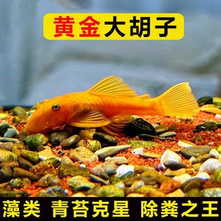 �S����Ӵ󷫹��ߟᎧС�͵�ˮ�^�p������~������ݳ�����ϺӰ�