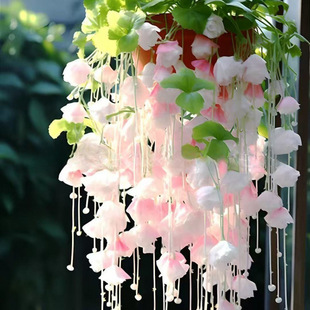 ����M؛-�羳 ���z���Ļ��N�׻��ļ��N�_���N�_����������ֲ��