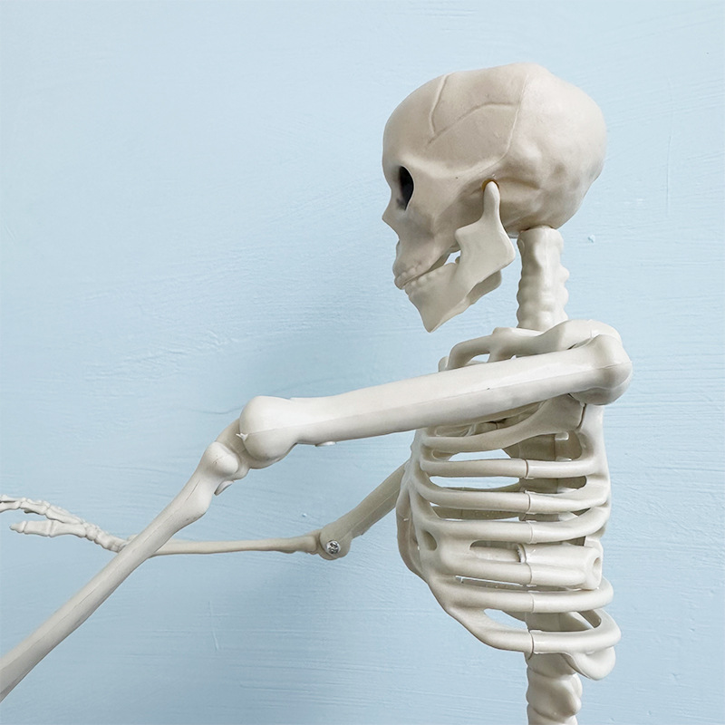Helovīna simulācijas skeleta apdares kulonu butaforijas plastmasas cilvēka galvaskausa skelets var stāvēt locītavu kustīgs skelets_voghion.com