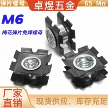 M6�ķ�÷����Ƭ��ĸ�ķ��܃��B�ӹ܃����⺸����ñ��ʽ�������ĸ