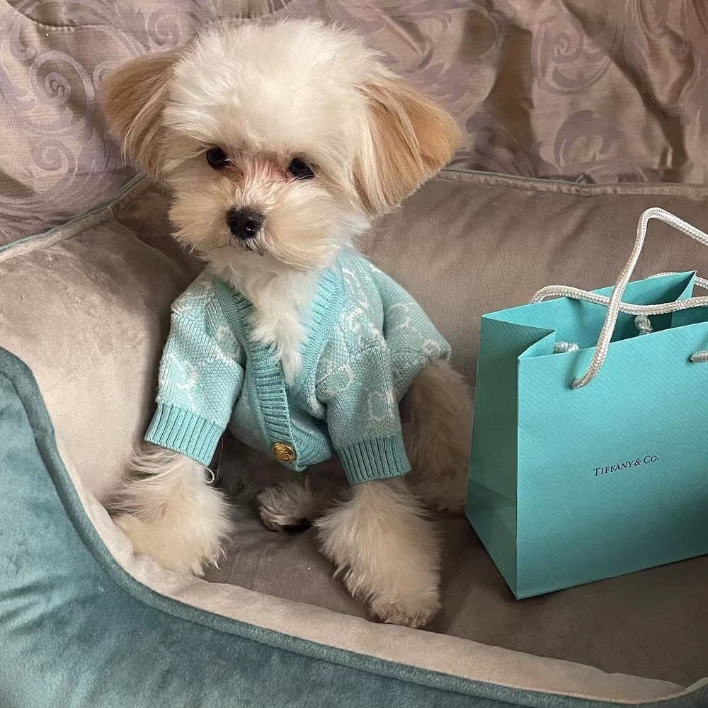 가을 겨울 강아지를 위한 트렌디한 브랜드 애완동물 옷 G 니트 가디건 두꺼운 프렌치 두 퍼그 테디 슈나우저 스웨터