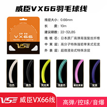 ��ƷVS�����ձ��M��VX66��ë���ľ����I��ِ���ߏ����������ʹ�JP