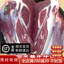 3�� ����ţ������ ��ɱũ��ɢ����ţ ����ţ��ţ����ţ���䶳����