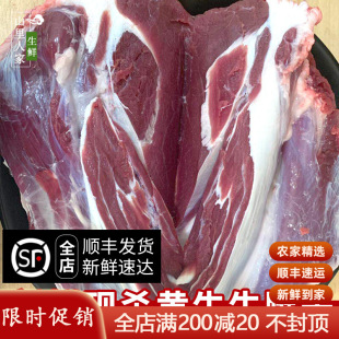 3�� ����ţ������ �F���r��ɢ�B�Sţ ���rţ��ţ����ţ������l؛