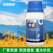 ���D20%��֬���~˪ù�������߲������Բ������߲�����