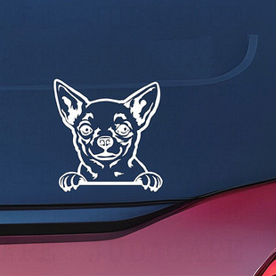 С����������ϩ��܇�N���Ƴ�܇�������b����Q�ɴ��l���Sֱ�NAL40