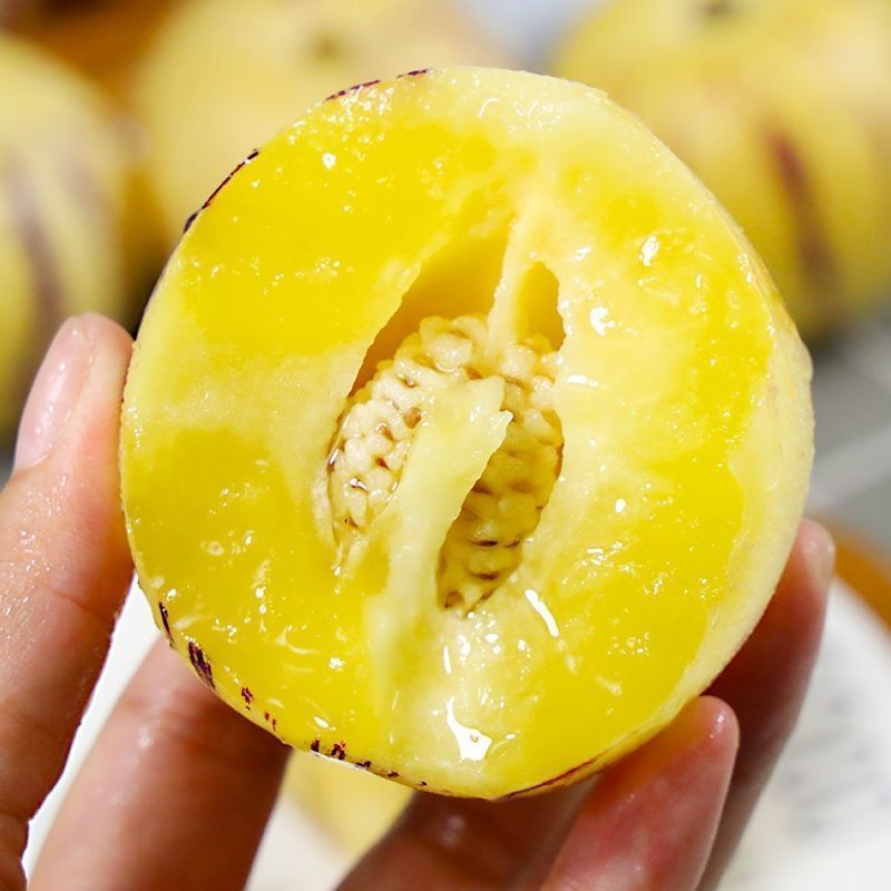 YJH_一键复制_20221105152527