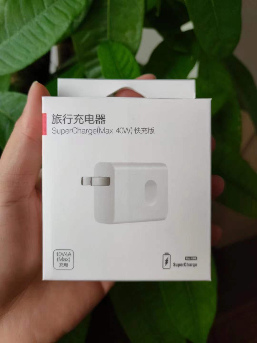 微信图片_202201092132457