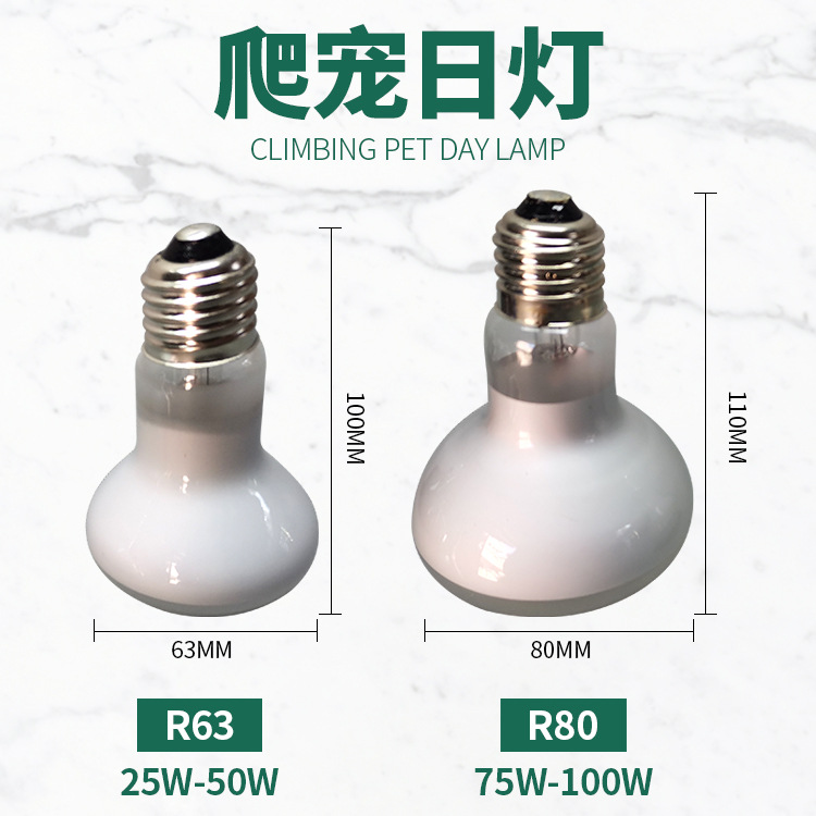 爬宠日灯规格图方.jpg