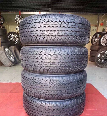 Dunlop Tires 225, Off-road şinlər