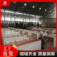 Bľģӱȷ̹֧ģ ҎRȫ_z Bľ