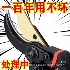 德国进口钢剪树剪修枝剪刀家用花木葡萄修耐用镐强厂家