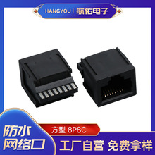 ��ˮ�W�j�� �W���B����ĸ��   ����8P8C ˮ���^��ĸ��