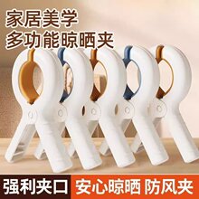 �A�����A�������L�������ϟo�۱��A�����ι̶������·��A����