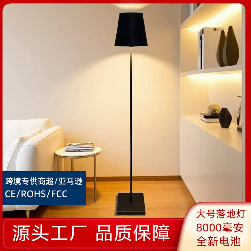 跨境新款充电落地灯台灯客厅高颜值简约创意高级餐厅卧室装饰