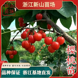 园林果树;乔木;灌木