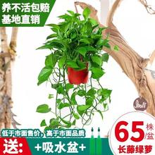 �G�}���Դ��~�L��ˮ��Gֲ�͏d���B�����՚����ռ�ȩ�҃Ȼ������l