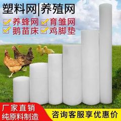 普通のベランダの保護落下防止安全プラスチック平網鶏鴨ガチョウ蛇ペットの足マットが糞を漏らして雛を育成します。