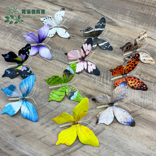 �羳3d���w���������С�t��diy���Ͻ����������^Ī�λ��@����