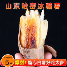 ���ܱ�����ɽ�|ɳ�����r�����������t���F�ڵعϳ���ɽ���r���ԷN