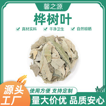 桦树叶中药材批发新鲜各种规格可按客户要求加工中草药桦树叶