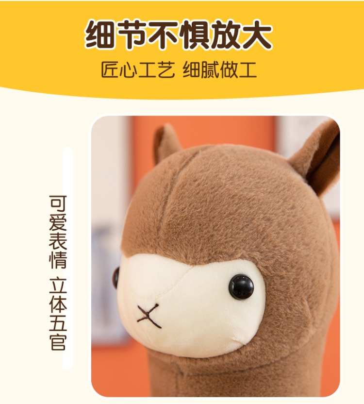羊驼 (19).jpg