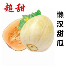 �Нh�����N�Ӱ�ɫ��ϷN���ļ����r�Ҹ߮a�����챡Ƥ���ˮ���N��