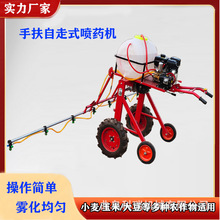 FC С״rÚxșC ʽַșC