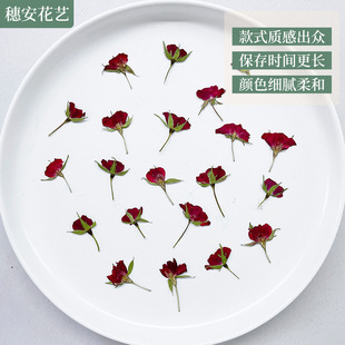 Dried Flower Baffle Specimen Half-cut Rose DIY Dropping Glue Table Lamp Candle Nail Art Photo Frame Rose Baffle Material Bag
