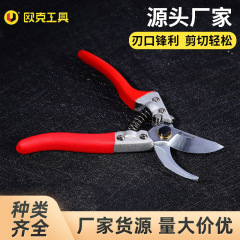 欧克园艺林修剪树枝剪刀剪枝剪花多用工具果枝剪园艺修枝剪多用