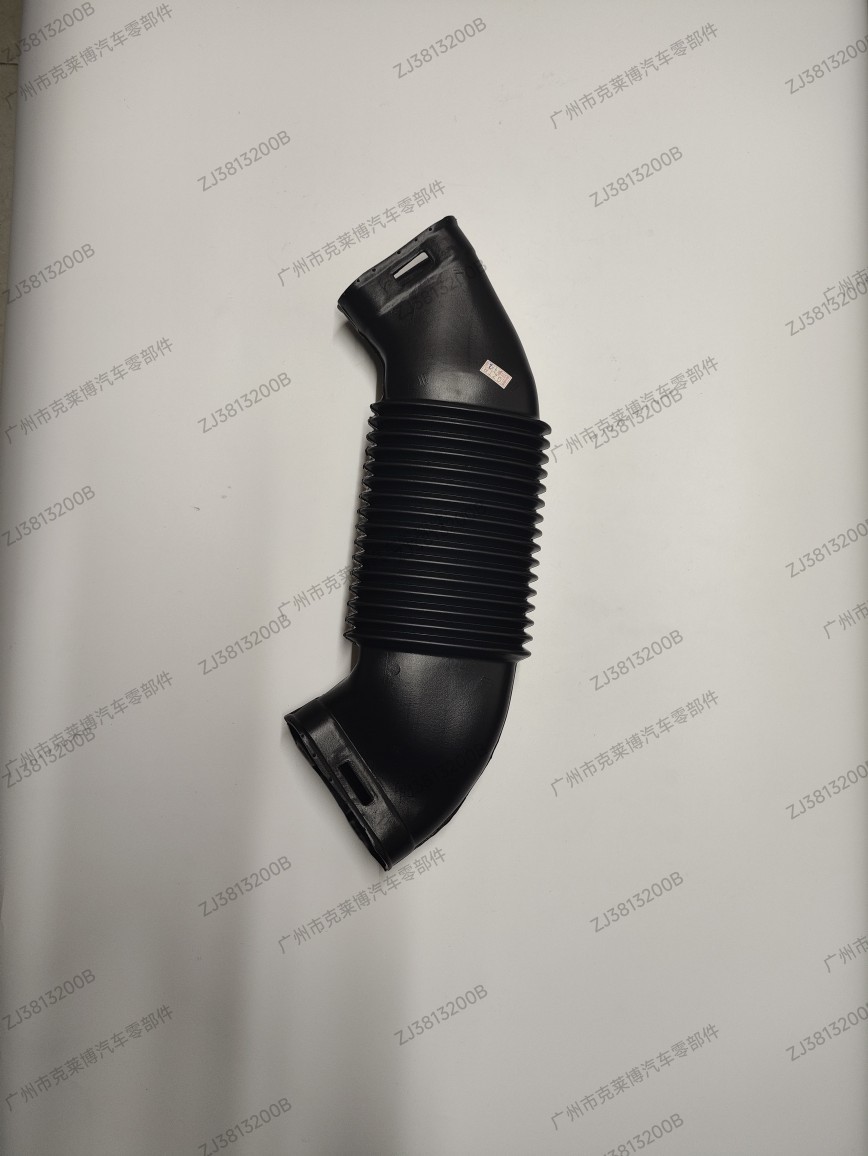 Zj3813200B Air Intake Pipe for Carnival 09