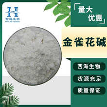 品质保证98%金雀花碱 食品保健原料金雀花提取物现货包邮金雀花碱