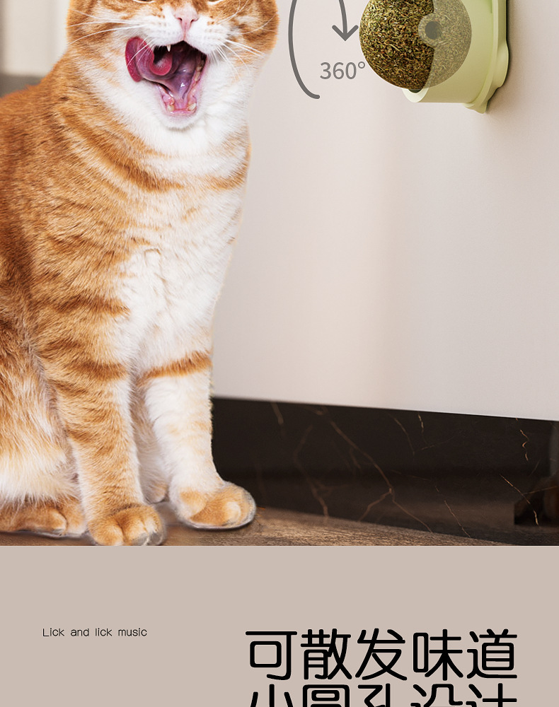 PC端图片5.jpg