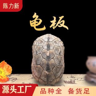 ���� ������ ���������� ���ʹ��  �a��؛Դ  ����ă�