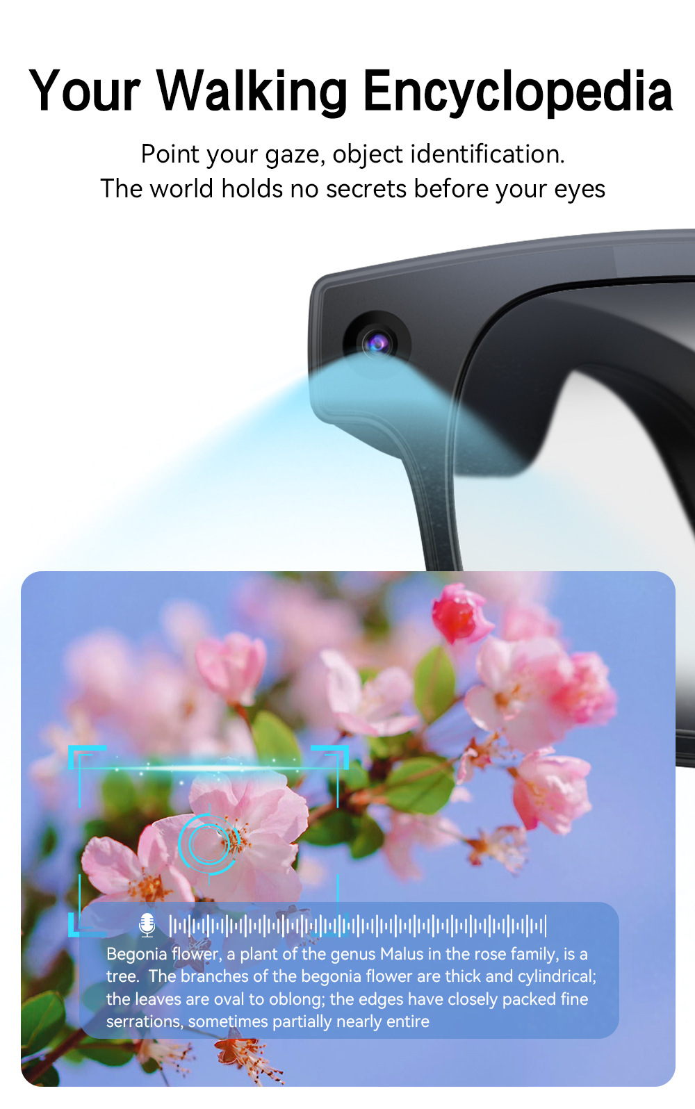 Smart Glasses With Camera For Photo, Video, Calling And Translate_voghion.com