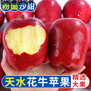 ���C��ˮ��ţ�O��ˮ�����r�����������߹��������lƽ���羳���l