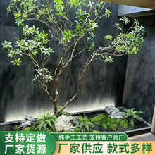 �R��ľ�쾮�쾰ֲ���҃ș�������Gֲ���ͼ٘��b侰�^��ľ�y